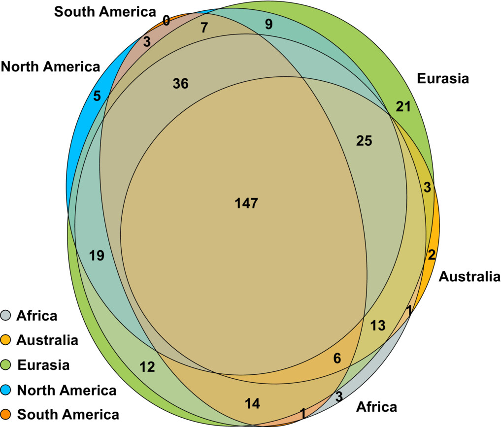 GlobalAMFungi: a global database of arbuscular mycorrhizal fungal occurrences from high-throughput sequencing metabarcoding studies Větrovský et al. @globalfungi @Kohout_mycor @baldrianp @maarja_opik 📖 ow.ly/jUBJ50PRR7S