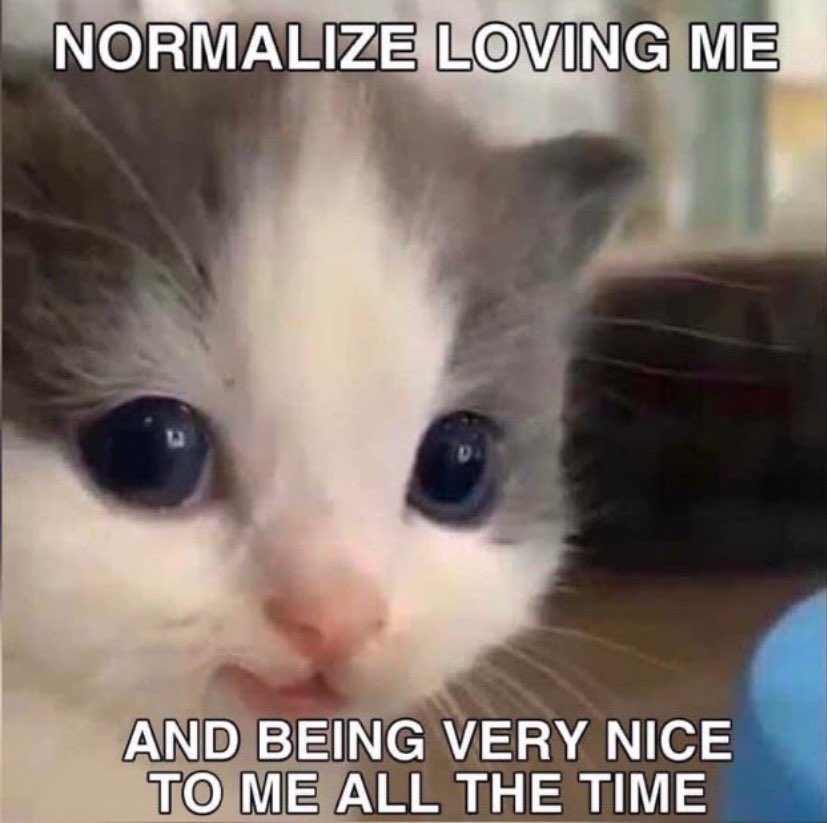 RespectfulMemes's tweet photo. https://t.co/RAA3Ai9i9S