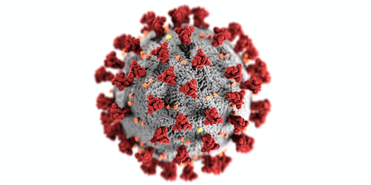 durham_uni's tweet photo. Ground-breaking research carried out at our Computer Science Department has helped Government and other organisations to curb the spread of Covid-19.
Learn more: https://t.co/F4P8hhrvXE
#DUcomputerscience https://t.co/ShYcNJXkyO