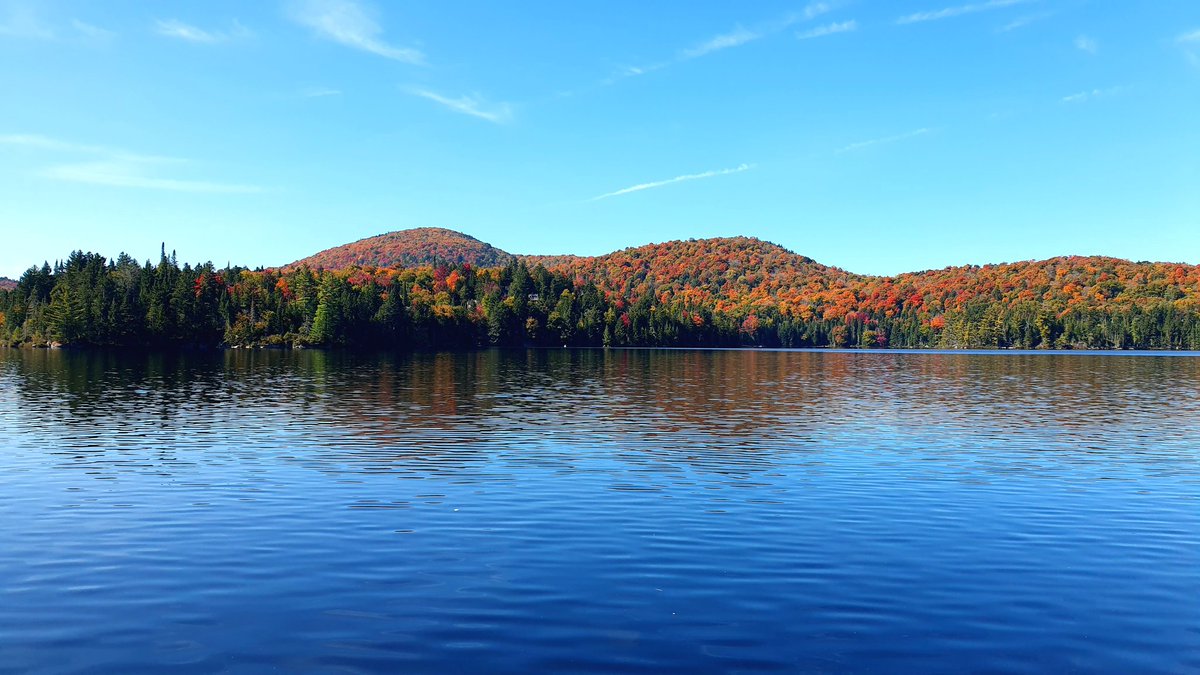 Clémence Fontanive tweet media