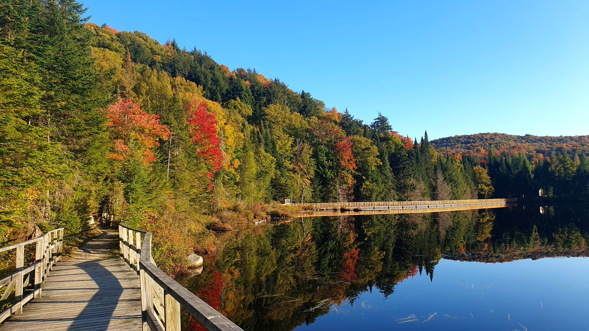 Clémence Fontanive tweet media