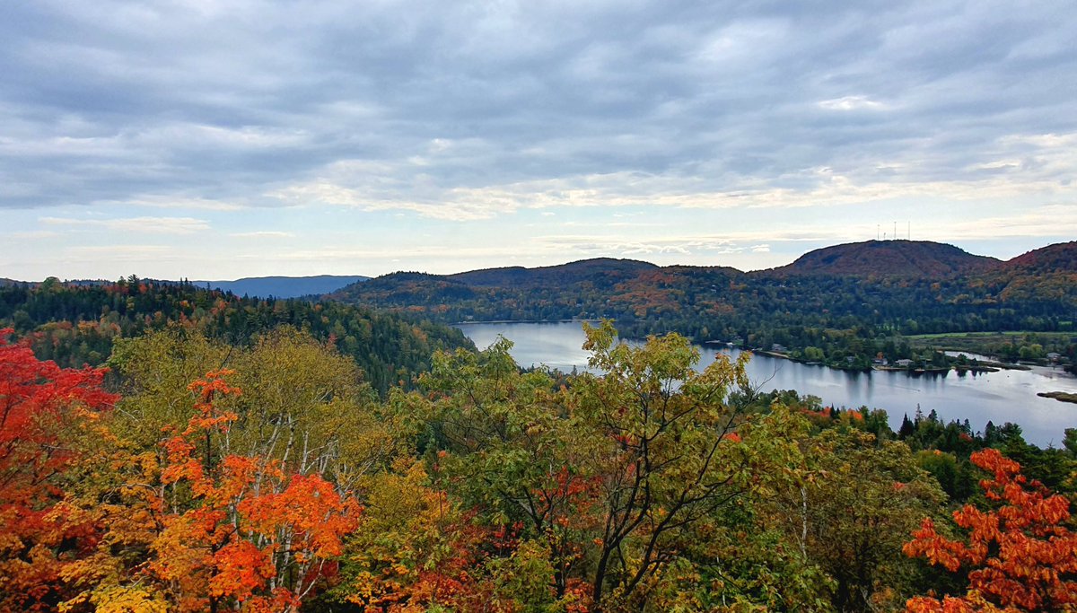 Clémence Fontanive tweet media