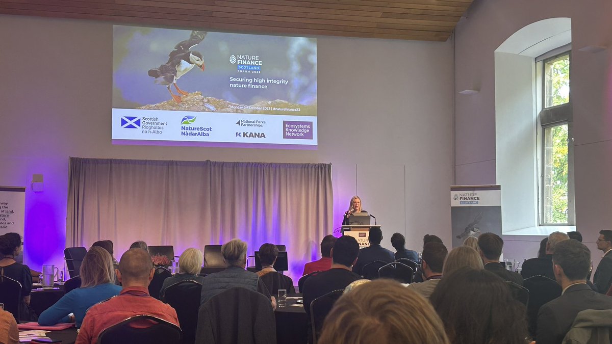 Paul Jepson tweet media