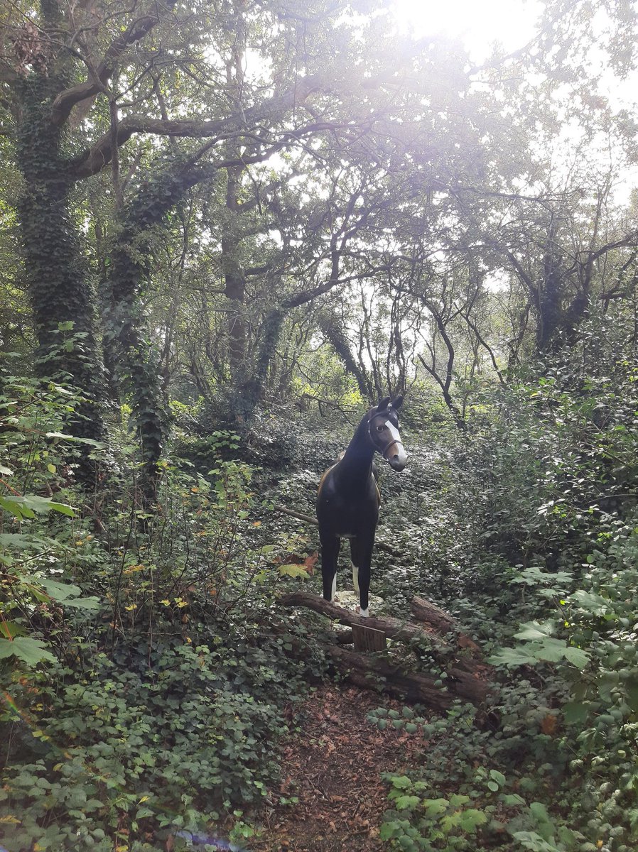 MEKloppenburg's tweet photo. Net bij sportvrienden geweest op de camping in #Oostvoorne. Zelfs nog wild gespot in het #Kabouterbos! 😉 #kruiningergors https://t.co/oFgUTiIPFi