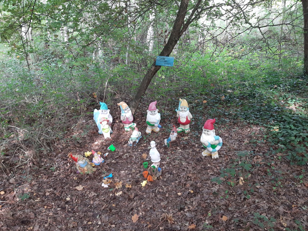 MEKloppenburg's tweet photo. Net bij sportvrienden geweest op de camping in #Oostvoorne. Zelfs nog wild gespot in het #Kabouterbos! 😉 #kruiningergors https://t.co/oFgUTiIPFi