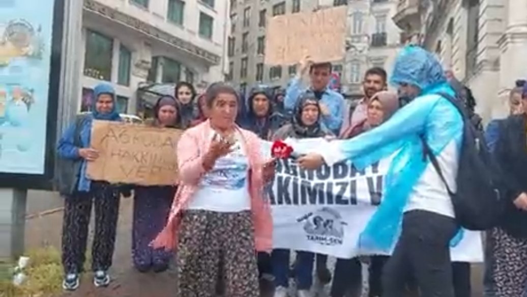 birlesik_isci's tweet photo. Agrobay Serac��lık işçileri, İstanbul'da bulunan ABD, Hollanda, İngiltere ve Almanya konsoloslukları önünde basın açıklamaları gerçekleştirdi.

Agrobay İşçisi Kazanacak! 

@tarimsendikasi

#AgrobayHakkımızıVer
#BayburtGrup https://t.co/2eKQeuGU1O