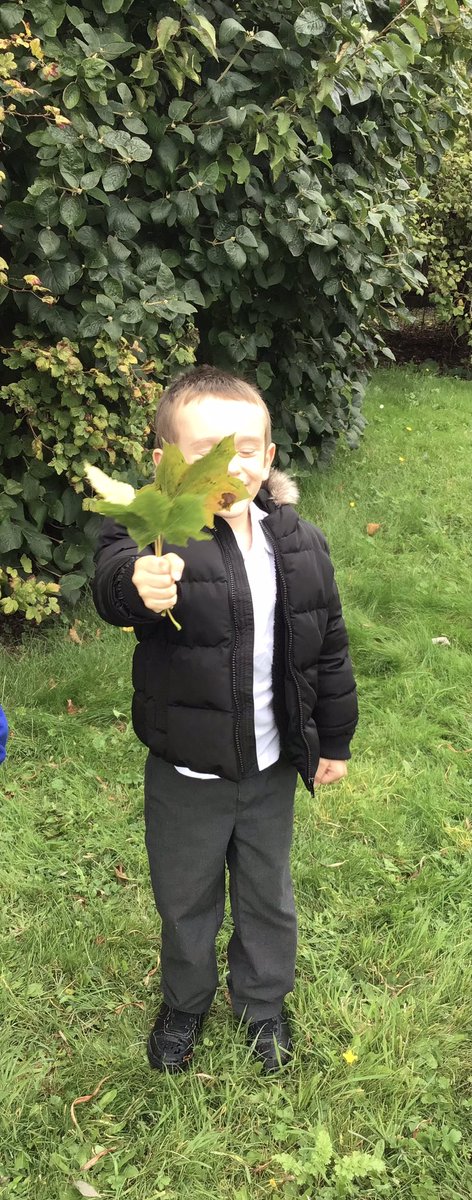 HilderthorpeSch's tweet photo. Class 1VW have been busy in the Jubilee Garden this afternoon looking for signs of Autumn #hildsci https://t.co/hZ9fnaAG1y