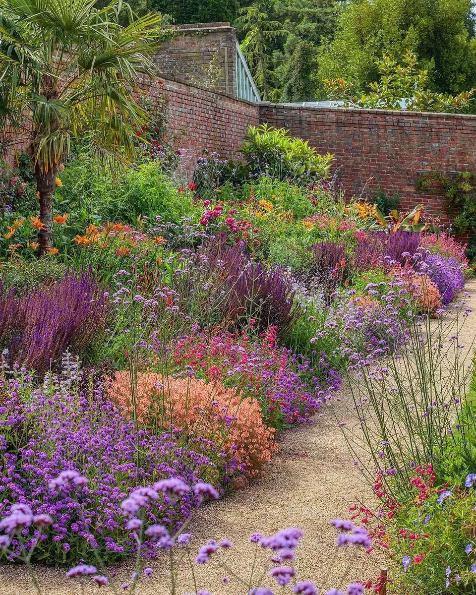 Morning mood booster 🌴💜🌸🧡🌺🌿 Penstemon ‘Sour Grapes’, Diascia ‘Apricot Queen’, Salvia caradonna, Verbena rigida, Hemerocallis ‘Kwanso Flore Plena’, Monarda ‘Scorpion’, Trachycarpus fortunei, Verbena bonariensis