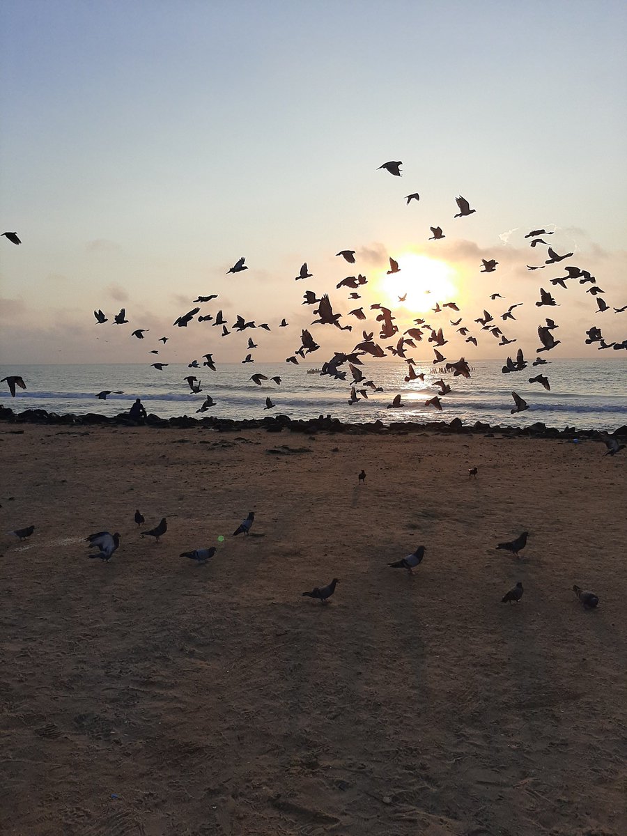 markrajarathnam's tweet photo. Freedom Pondichéry, Pondicherry, Puducherry. https://t.co/MUDYIHrvyd