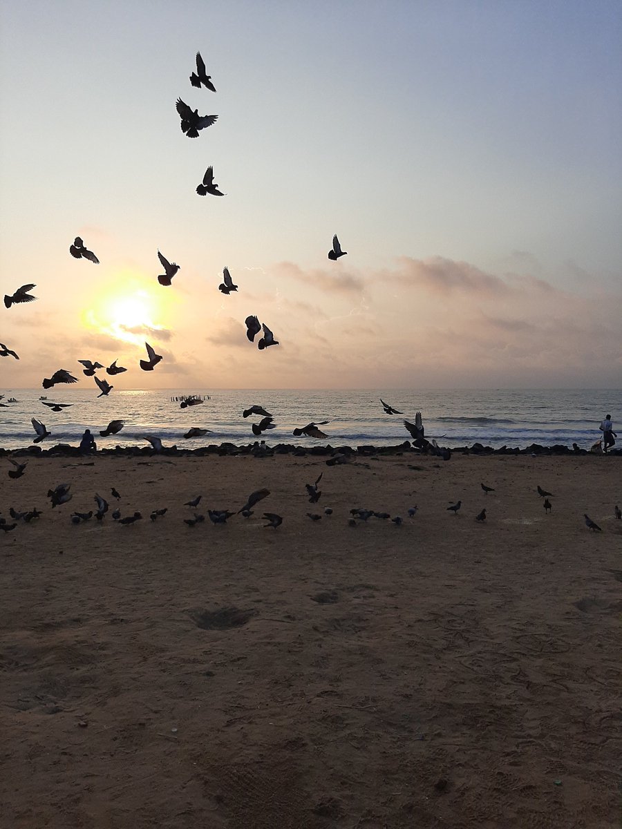 markrajarathnam's tweet photo. Freedom Pondichéry, Pondicherry, Puducherry. https://t.co/MUDYIHrvyd