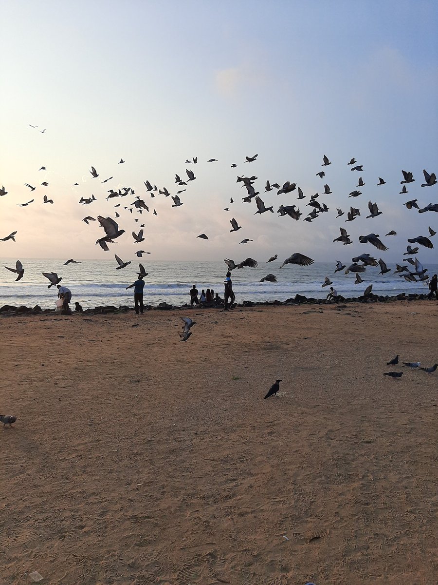 markrajarathnam's tweet photo. Freedom Pondichéry, Pondicherry, Puducherry. https://t.co/MUDYIHrvyd