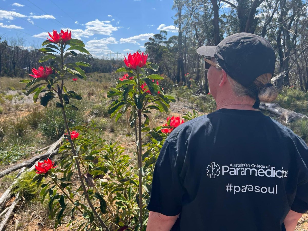 Clare Sutton tweet media