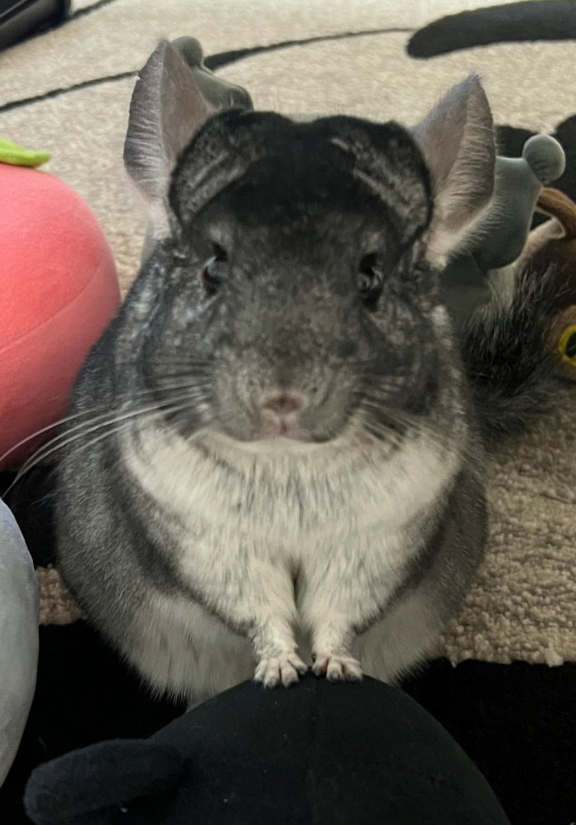 部屋んぽ楽しいね～