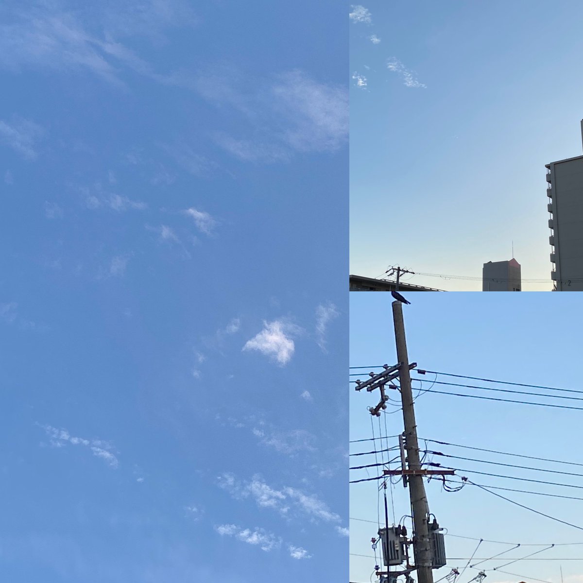 10月2日pm 5：53

こんばんは🌇

皆さん🤗

お疲れ様でした🙇‍♀️
＃イマソラ
＃仕事行って帰って来ました
＃良いねﾘｯｰﾄﾘﾌﾟ有難う🙇‍♀️

良き夜を過ごしてください🌉