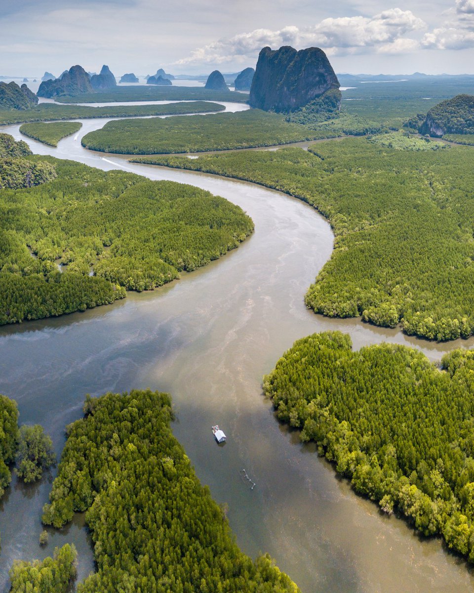 Wetlands provide a habitat for 40% of species 𝘰𝘯 𝘦𝘢𝘳𝘵𝘩.

Thousands of species depend on them, but these vital ecosystems are disappearing 3 x faster than forests.

#WorldHabitatDay