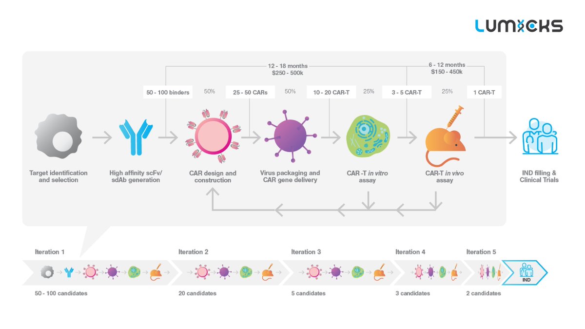 LUMICKS_nl's tweet image. Have you checked out our latest white paper on accelerating the path of your preclinical cell therapy development work to IND filing? 📑 

🔗 Download the white paper now: bit.ly/48DMCsM 

#CARTcelltherapy #Avidity #INDFiling
