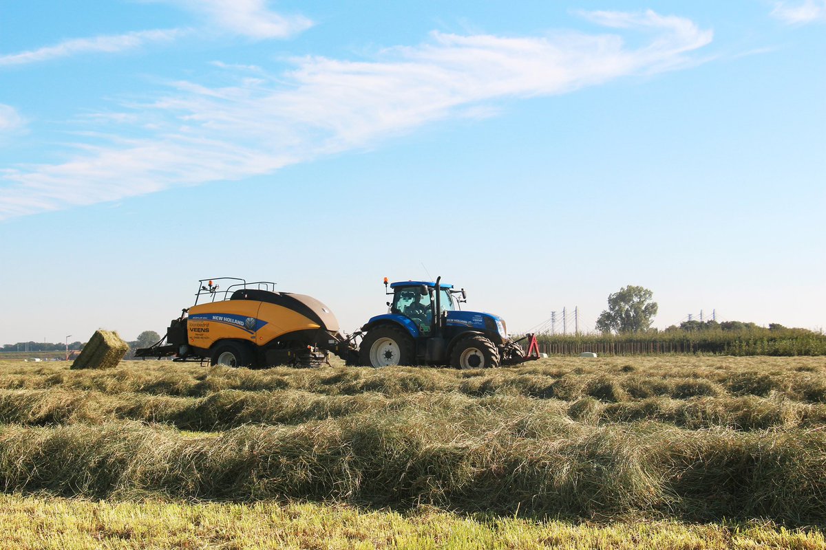 Hooi of voordroogkuil is een belangrijk onderdeel van het rantsoen van je paard. Minimaal 60% van het rantsoen moet uit ruwvoer bestaan. Bij paarden met een lage energiebehoefte kan het rantsoen zelfs volledig uit ruwvoer bestaan.
barenbrug.nl/paardenhouderi…
#barenbrug #haymaster