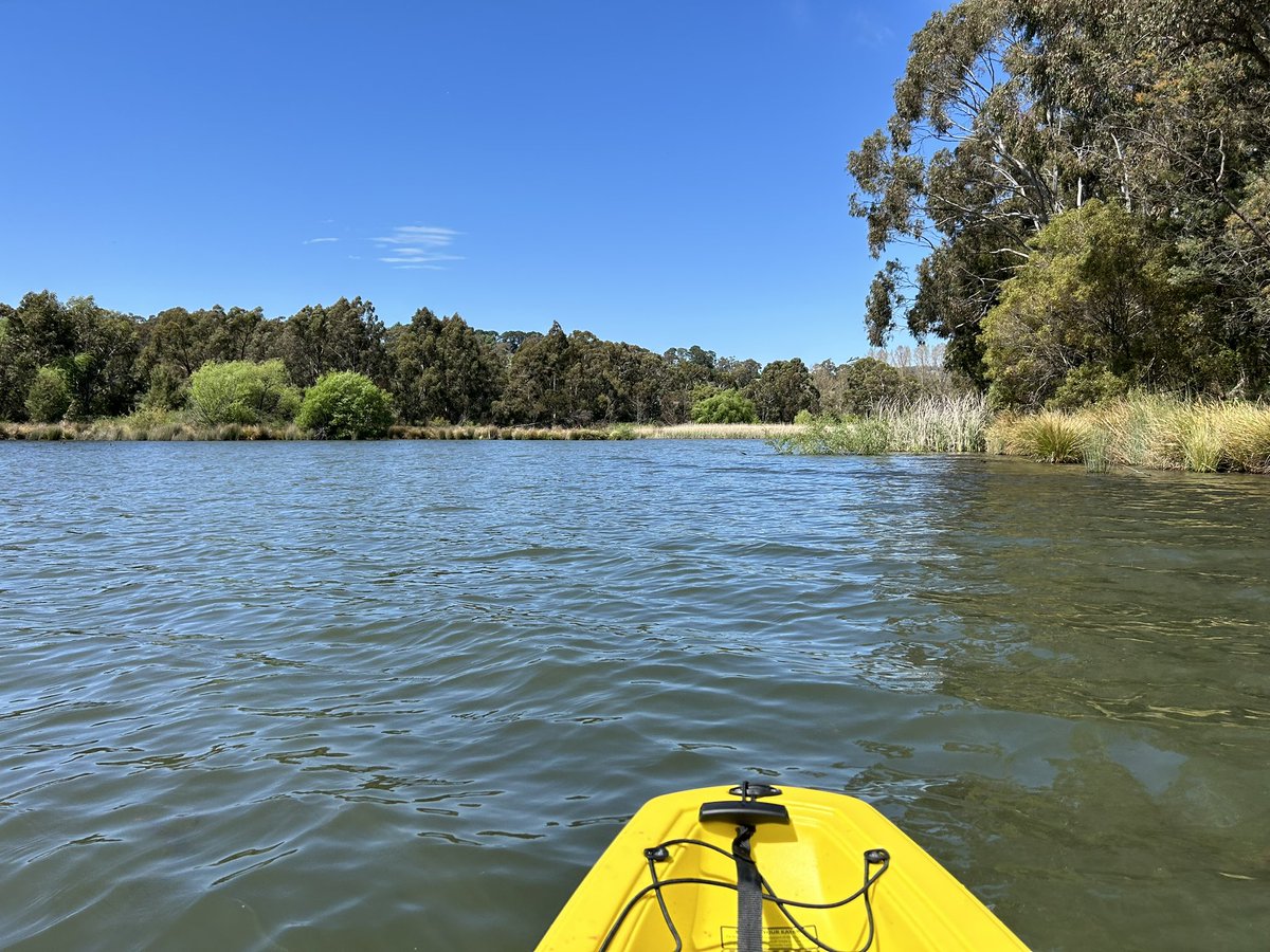 Clare Sutton tweet media