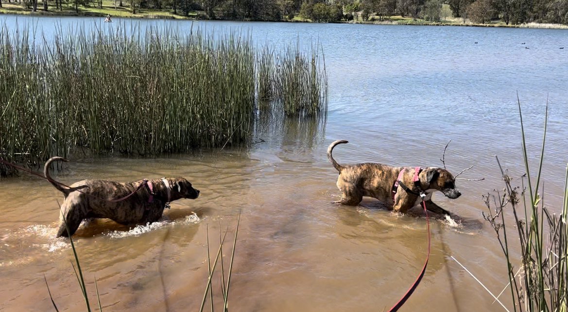 Clare Sutton tweet media