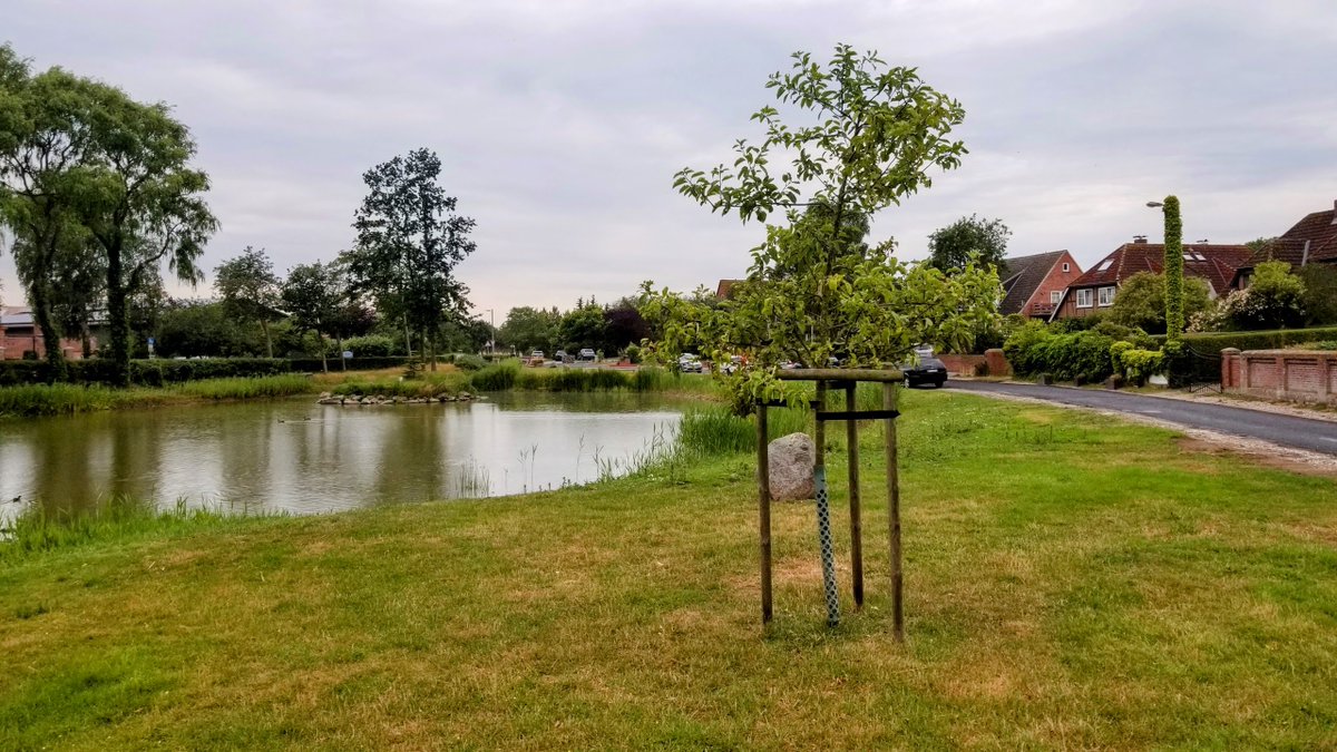 Impressionen von Fehmarn... 
 #Fehmarn #Ostsee #Insel #Ferien #Urlaub #ostseeliebe #küstenliebe #balticsea #meerliebe #schleswigholstein #strand #meerweh #ostseeurlaub #reiselust #ostseekult 
natuerlichfehmarn.de