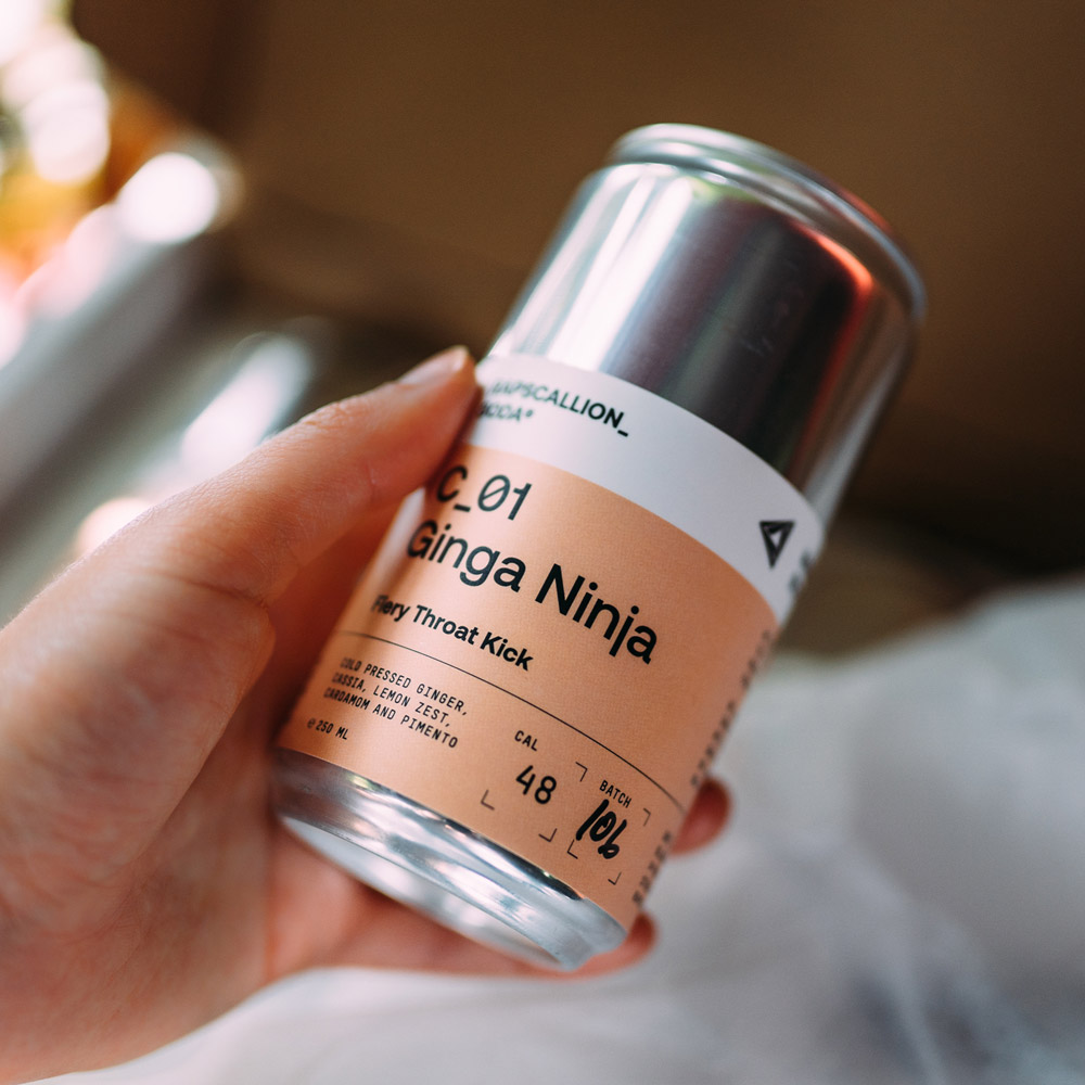 We gave Rapscallion just what they needed - a Shopify theme that's the perfect fit for their business and brand. Then, we took it up a notch by customising the design, developing a custom menu and subscription feature to enhance the user's experience like never before!