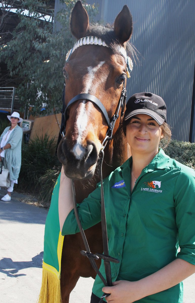 LivingLegendsAU's tweet photo. Had an incredible time at the 2023 @MelbRoyalShow 🏵️ Proud to parade Beauty Generation (Genie) &amp; Twilight Payment! Congrats to Jessica Stalling on Verdict by Direction's Garryowen win! Genie's back in action after foot injury. Exciting times ahead in the show ring! https://t.co/yzP3EvP9lk