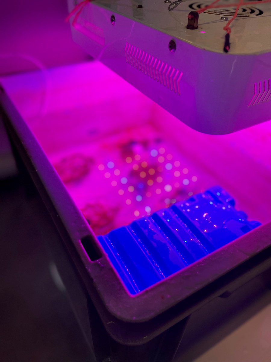 Karl Attard tweet media