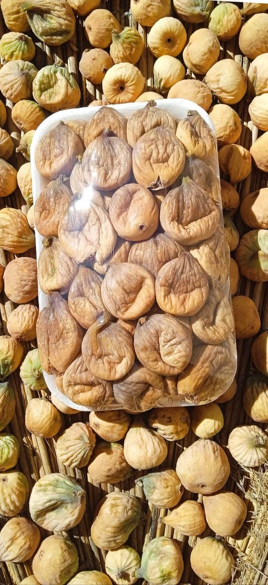 boumyanzer's tweet photo. @USAmbtoAlgeria I invite you to continue, still in Kabylia, with a visit to Ath M3uch (Béni Maouche), wilaya of Béjaïa, on the occasion of the dried fig festival, a tasty and authentic Algerian local product, the only one to be labeled with a geographical identification (GI) label, under the ... https://t.co/PAxhNIdPnX