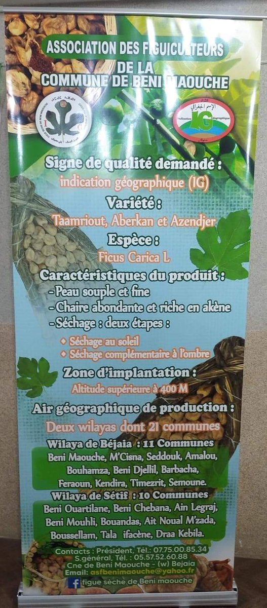 boumyanzer's tweet photo. @USAmbtoAlgeria I invite you to continue, still in Kabylia, with a visit to Ath M3uch (Béni Maouche), wilaya of Béjaïa, on the occasion of the dried fig festival, a tasty and authentic Algerian local product, the only one to be labeled with a geographical identification (GI) label, under the ... https://t.co/PAxhNIdPnX