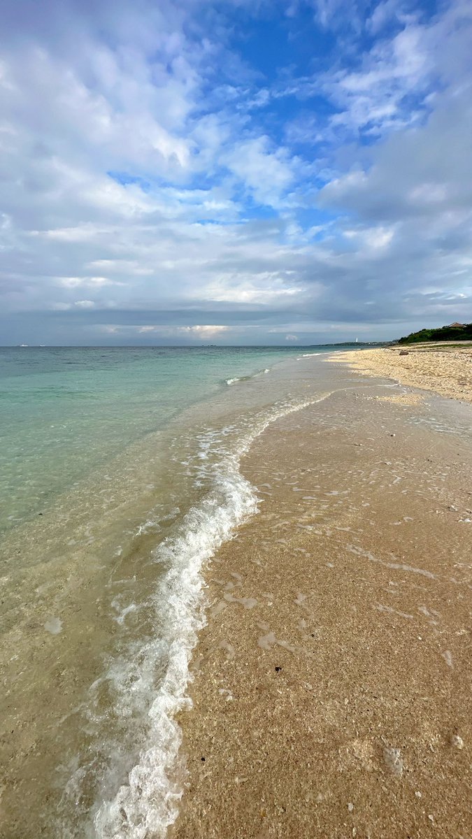 VIEA_Magazine's tweet photo. En direct d’Okinawa. Le Japon tropical!!🎌🌴#Okinawa #Japon #Voyage #Tropical https://t.co/pT5BqKtzvd