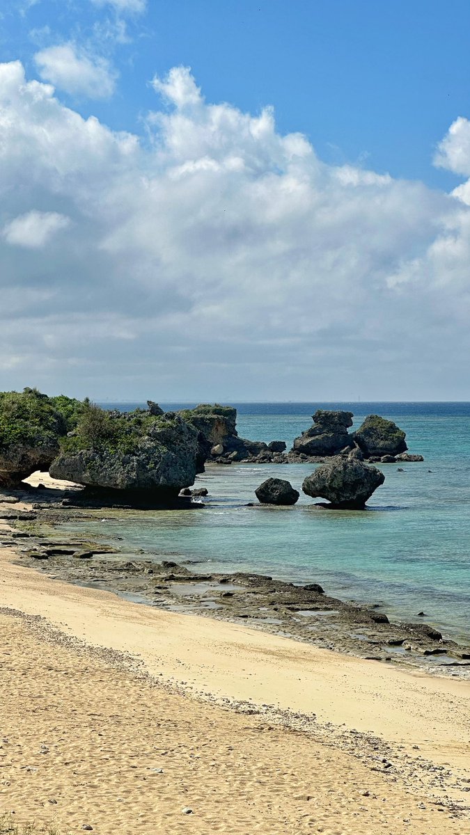 En direct d’Okinawa. Le Japon tropical!!🎌🌴#Okinawa #Japon #Voyage #Tropical