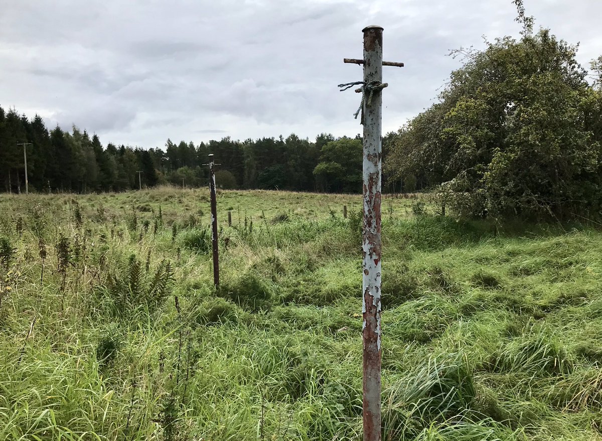 coal_legacies's tweet photo. The domestic landscape legacy for #AllMetalMonday the abandoned poles on what was once the drying green for long gone Kier House deep in #Devilla Forest #Kincardine #Fife https://t.co/gMXtvZSnUu