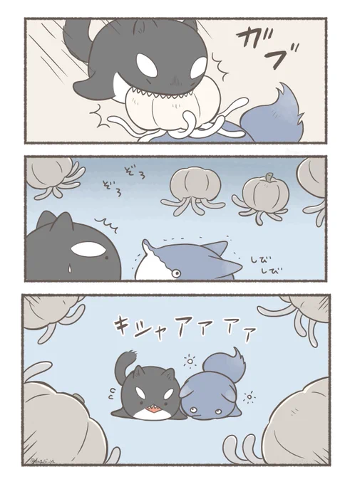 ミニキメラ かぼちゃくらげとの遭遇(2/2)