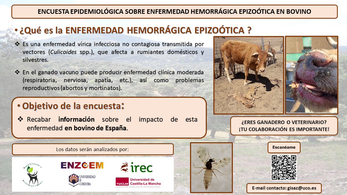 🗣️<a href="/GISAZ_Cordoba/">GISAZ</a> de la <a href="/Univcordoba/">Universidad Córdoba</a>, <a href="/ENZOEM_UCO/">ENZOEM</a> e <a href="/IREC_CSIC_UCLM/">IREC (CSIC, UCLM, JCCM)</a> hemos lanzado una encuesta para evaluar el  impacto de la #Enfermedad_Hemorrágica_Epizoótica en bovino a nivel nacional¡¡ Va destinada a veterinarios y ganaderos y es anónima¡ forms.office.com/e/ZxXRzE6xg1  🐄🐂✍️🏽📋