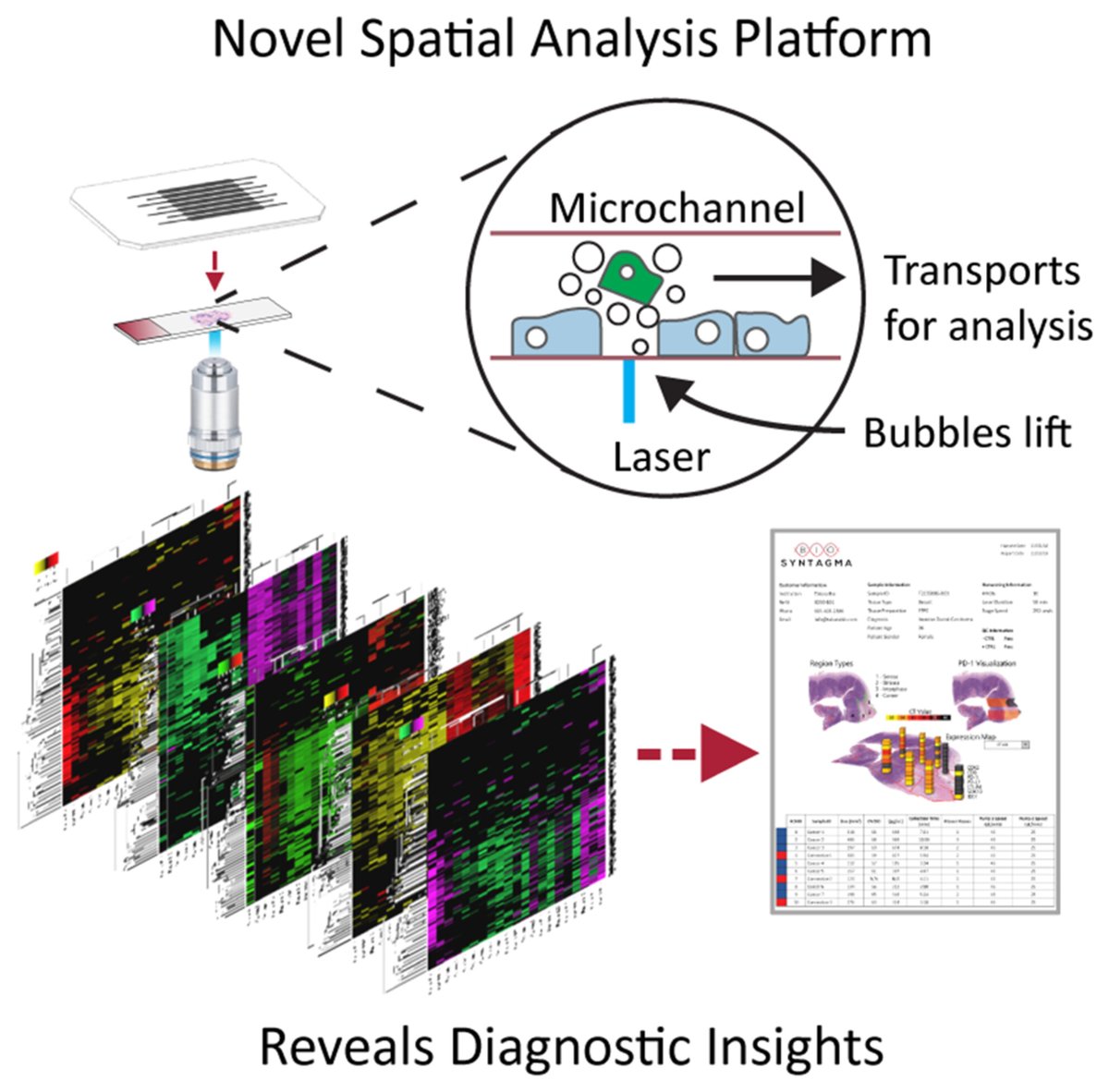 MolOncology's tweet photo. ⚙️New Method available online!
🧬Assay-agnostic spatial profiling detects tumor microenvironment signatures: new diagnostic insights for triple-negative breast cancer
🔗https://t.co/MVJZiVGemz
#SpatialProfiling #TNBC #BCSM #TumourMicroenvironment #ImmunoOncology https://t.co/3GSZ76XSAz