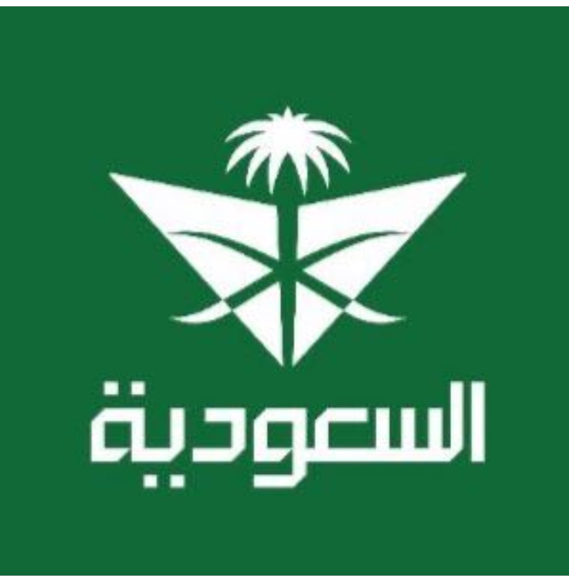 AljahdaliBasem's tweet photo. https://t.co/MvxvY0d9If