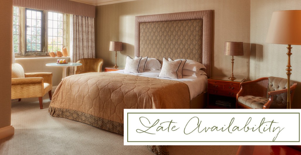 Mallory Court tweet media