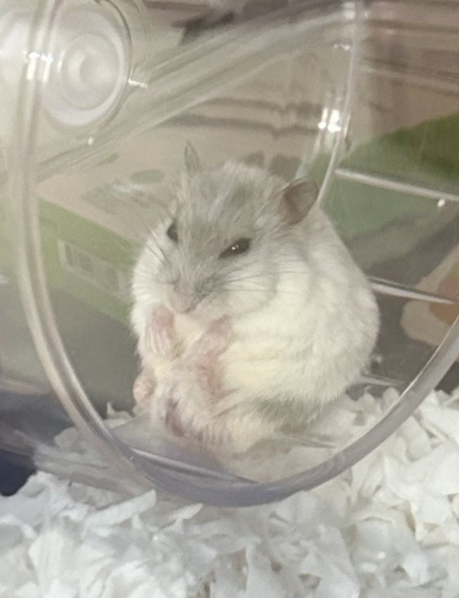 👅RDKennith🌻 tweet media