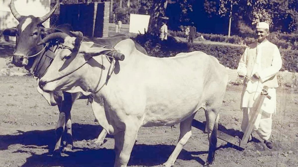 जो शासन करते हैं, उन्हें यह अवश्य देखना चाहिए कि शासन के प्रति जनता की प्रतिक्रिया कैसी है। अंततः, जनता ही अंतिम निर्णायक है। 

~ लाल बहादुर शास्त्री
#LalBahadurShastriJayanti 🌼