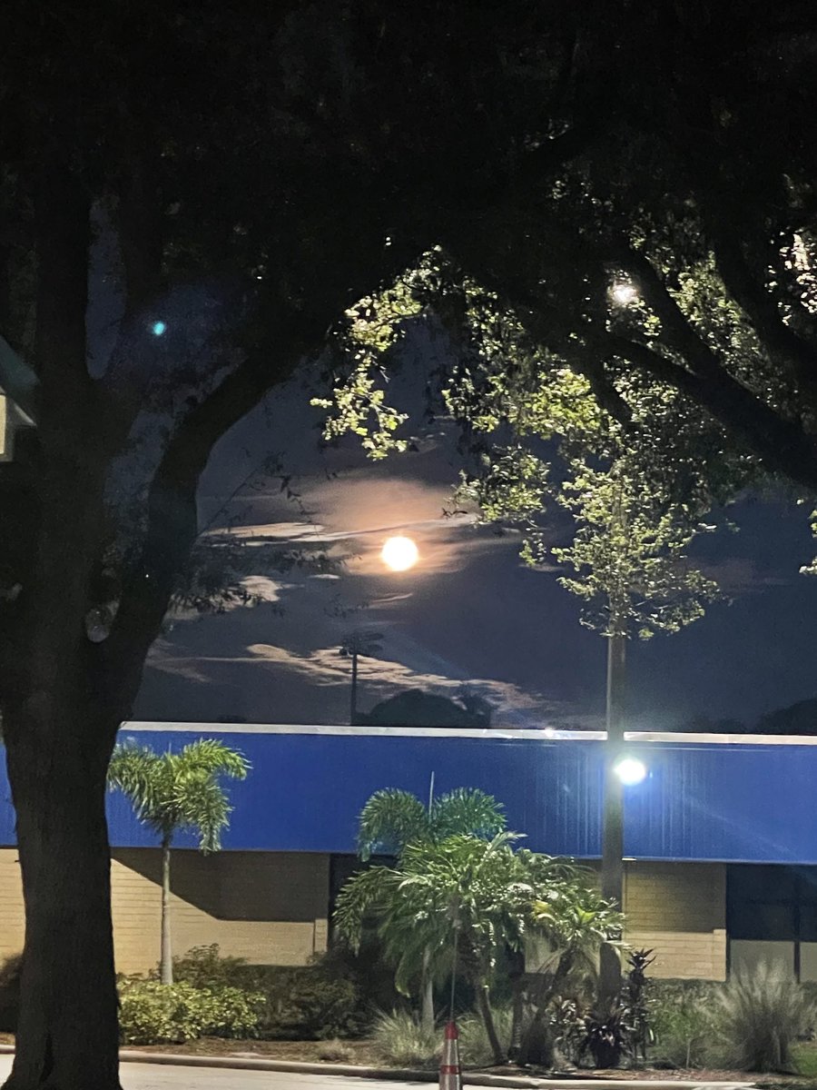 aprilmk4's tweet photo. What did your Friday look like? Ours was FULL of light. #fullmoon #beautifulstart https://t.co/qiZWlJXL5n
