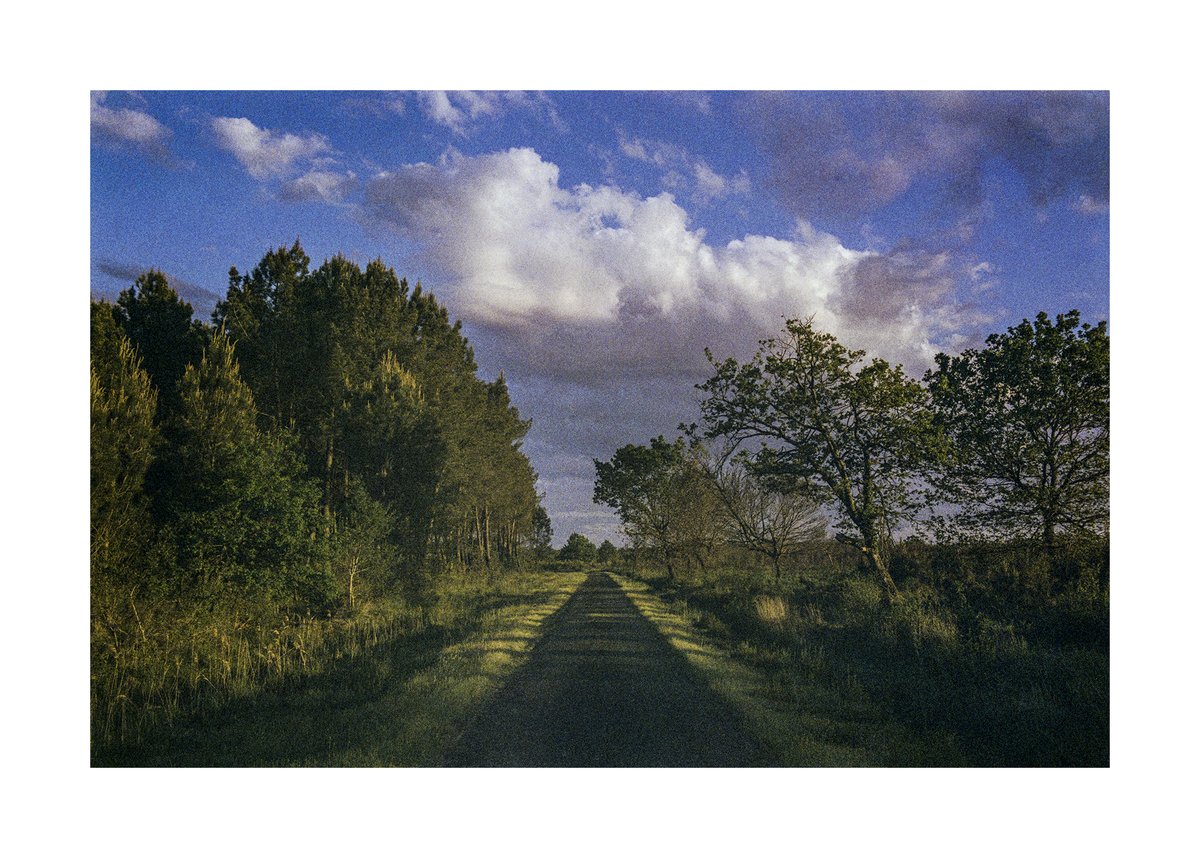 Exposition "Pays Imaginé" à la Maison de la Photographie des Landes 
Restitution des résidences artistiques de Dana Cojbuc et Benoît Cary
Direction artistique : Lydie Palaric
Ouverture de l’exposition du 27 septembre au 21 octobre 2023
le mercredi, jeudi &amp; samedi de 14h30 à 18h