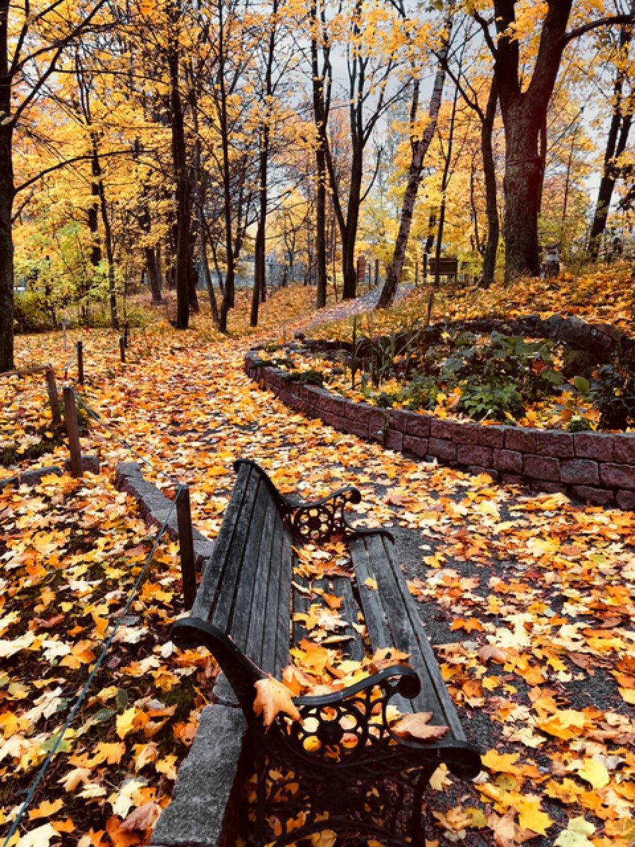 GSHamzaGS's tweet image. Hiç #kırdım mı diyen #yok,
Herkes #kırıldığının #peşinde...