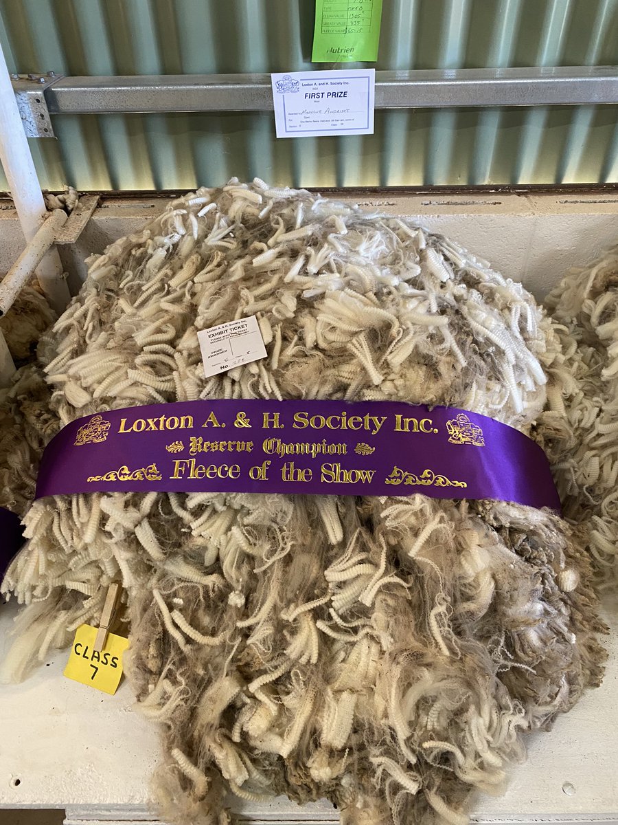 AndriskeDavid's tweet photo. The kids had a pretty successful Loxton Show and came home with some pocket money and ribbons https://t.co/QTgXntXWLZ