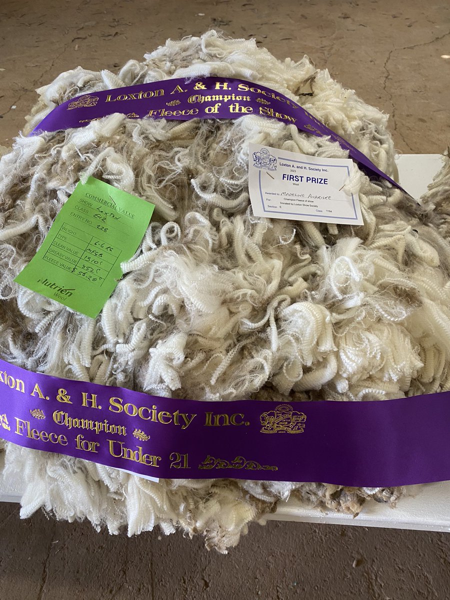 AndriskeDavid's tweet photo. The kids had a pretty successful Loxton Show and came home with some pocket money and ribbons https://t.co/QTgXntXWLZ