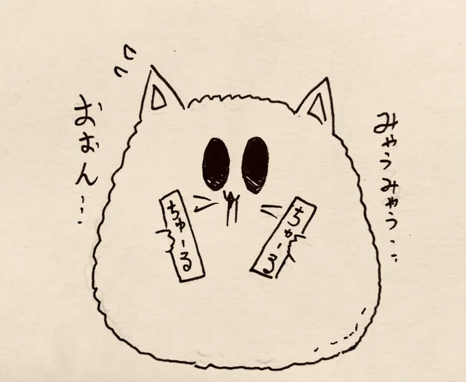 チュール何味食べるか悩んでるもち猫さん 