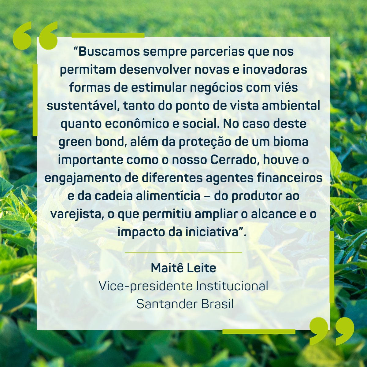BVRioBrasil's tweet photo. A Responsible Commodities Facility (RCF) acaba de anunciar um investimento de US$ 47 milhões para a expansão da produção de soja livre de desmatamento no Cerrado, na safra 2023/24, com novos investidores @Santander_br @Rabobank e @Agri3F.

#sojaresponsavel #economiaverde https://t.co/PbDBcenaxx