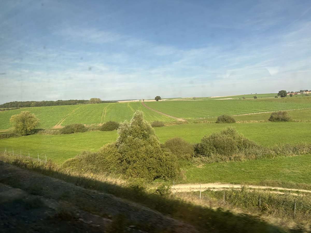 Ayoub Intel 🧐 tweet media