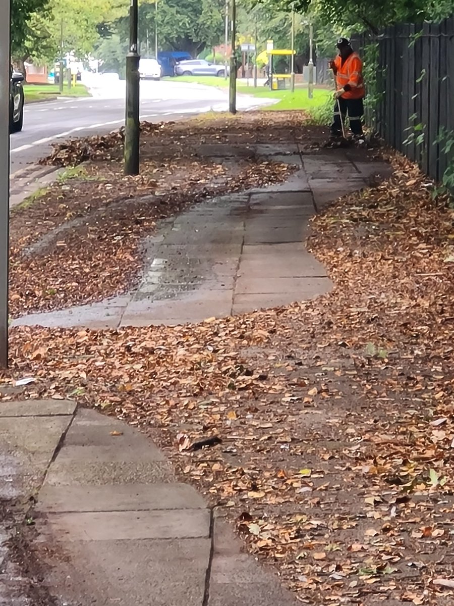 lpool_LSSL's tweet photo. Let's talk about #LeafFall 🍂

Autumn is a beautiful time of year 🤩 but there's a lot of leaves to be collected!

Our early morning crew are out getting an early start on the #LeafFallCollection programme, which will begin &amp; be in full operation over the next few weeks https://t.co/51c9YEZINw