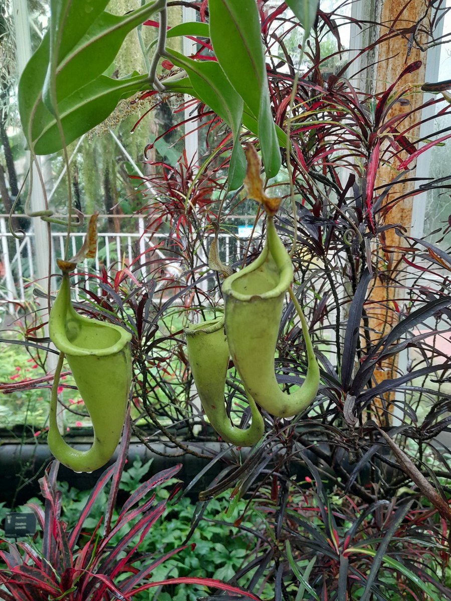 Catherine Haines tweet media