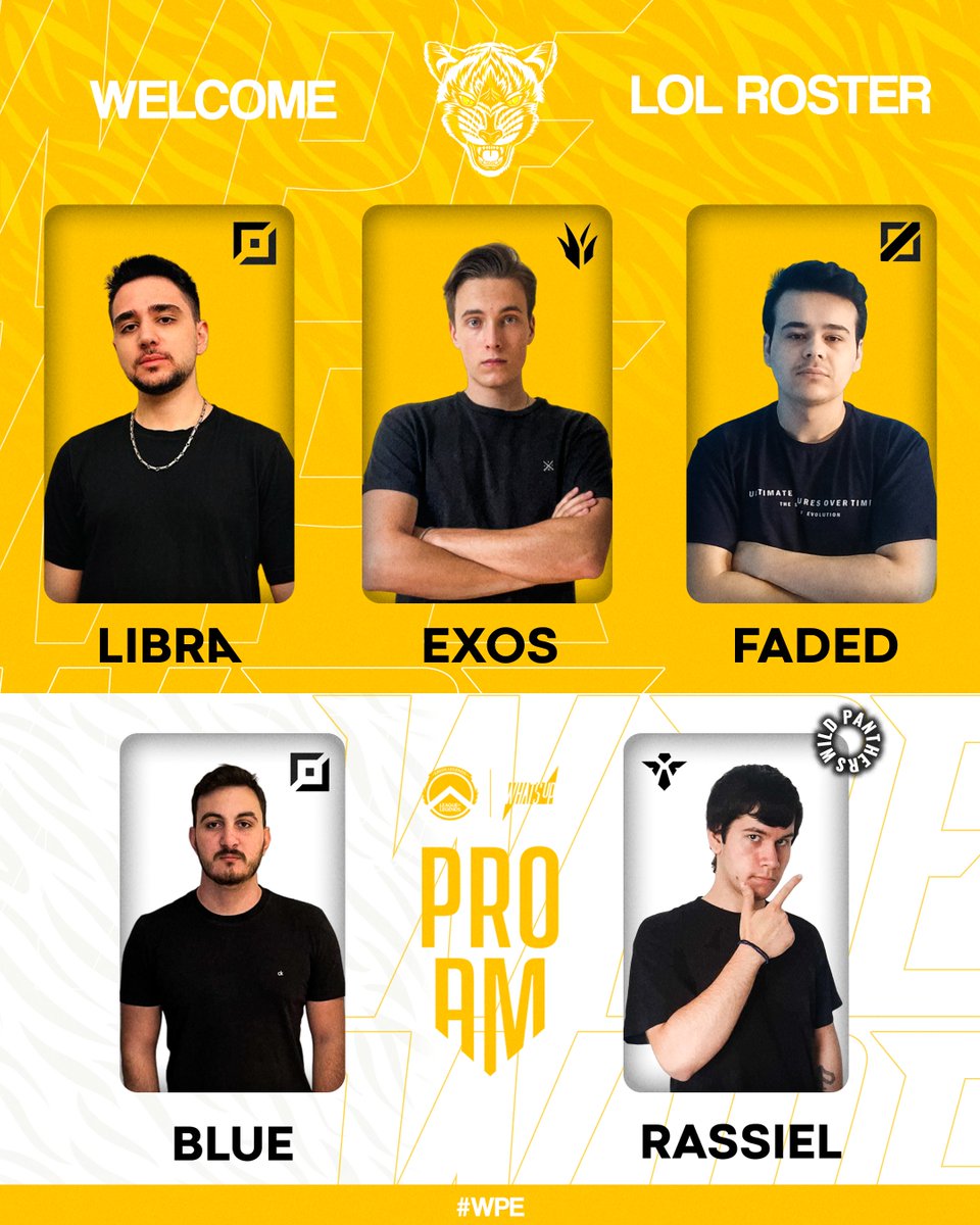 Wild Panthers Esports tweet media